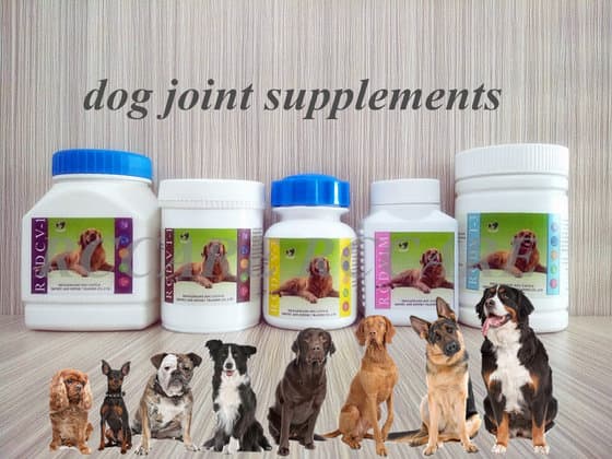 Nutritional Dog Joint Supplement